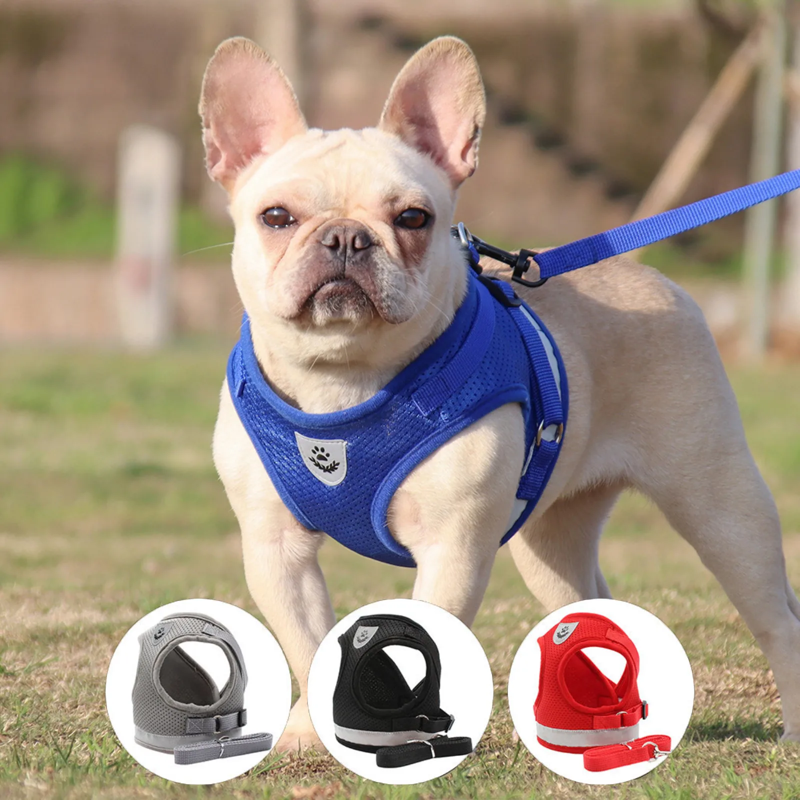 Dog Harness Leash Set for Small Dogs Adjustable Puppy Cat Vest French Bulldog Chihuahua Pug Outdoor 1005007566476448