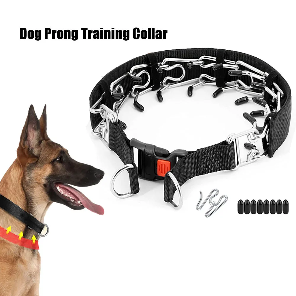 Dog Training Stimulation Chain Dog Collar Pet Supplies Supplies Spike Collar Dog Chain 1005007573061796