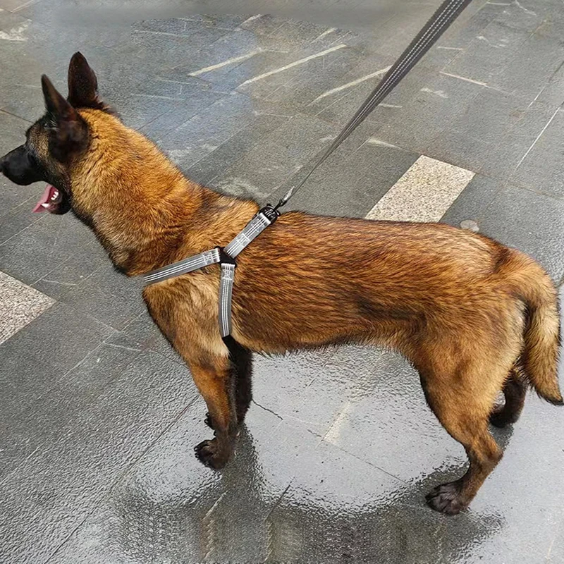 Adjustable Dog Y Harness Breathable Reflective Puppy Harness Leash for Small Medium Large Dog 1005007575103562