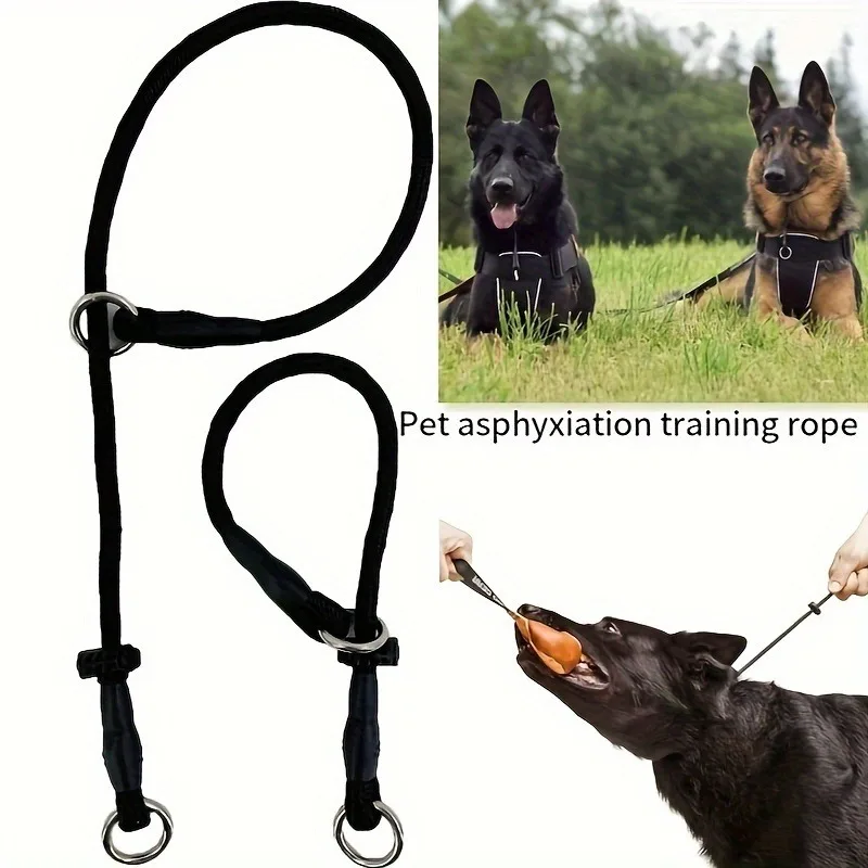 Polyester Fiber Dog Training Leash with Adjustable Slip Collar, Durable Choke Loop for Behavioral 1005007591638238