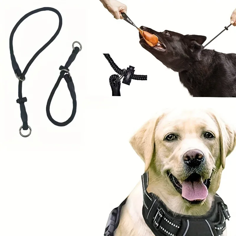 View 4