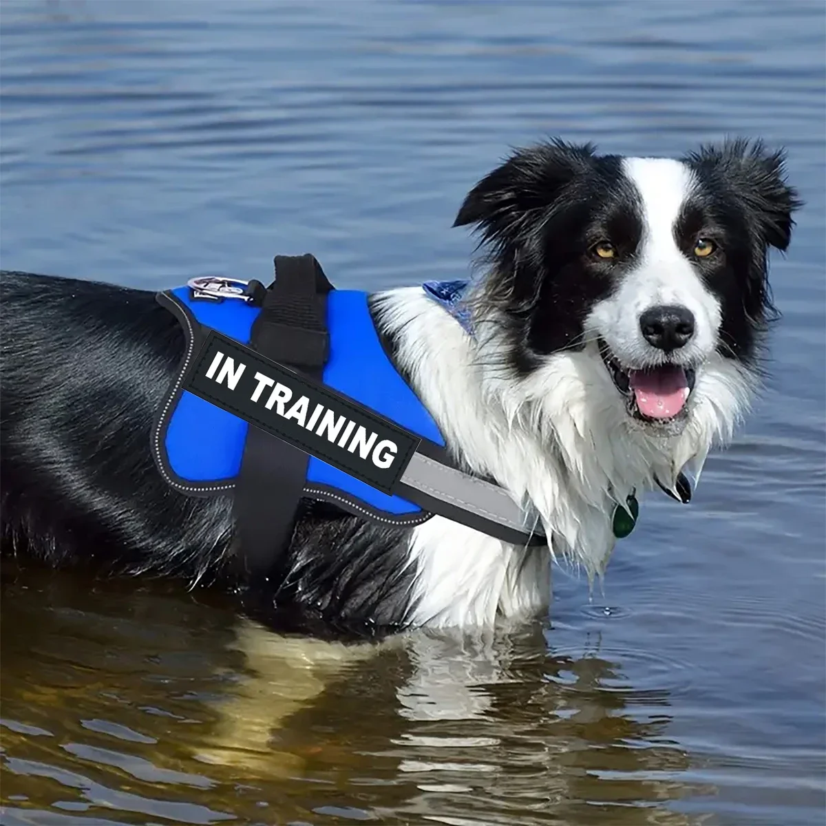Adjustable Dog Harness Pet Harness Reflective Breathable Vest for Small Large Dog NO PULL (1 Set) 1005007598234670