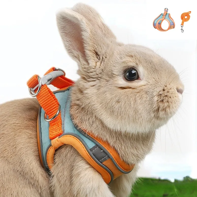 Rabbit Walks Adjustable Bunny Harness and Leash Set Double Buckle with Reflective Strips Rabbit 1005007610479698