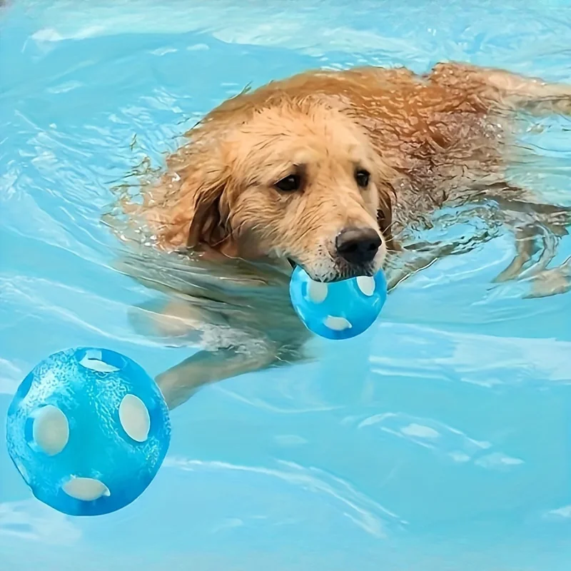 Floating Ocean Ball, Dog Toy Ball Chase Water Play (1pc) 1005007618164764