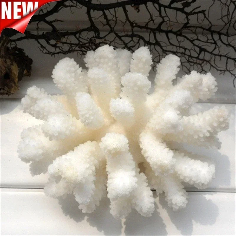 12 100% Natural Coral Aquarium Decor Fish Decoration Aquarium Landscaping Ornaments Home 1005007623508117