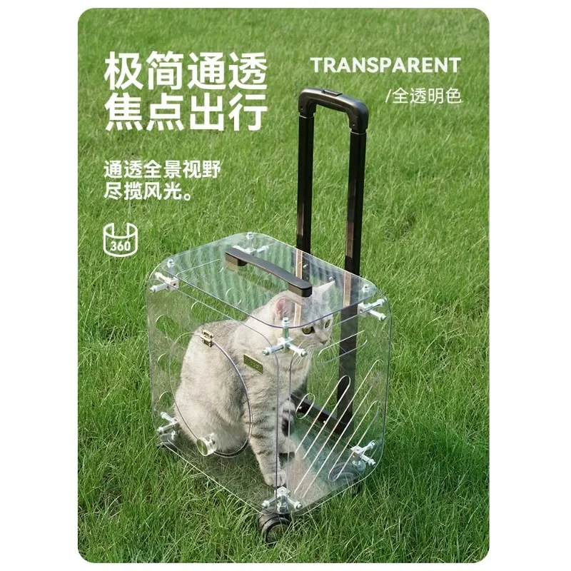 Cat Bag Out Portable Pet Fully Transparent Trolley Case Car Dog Large Capacity Suitcase 1005007633829857