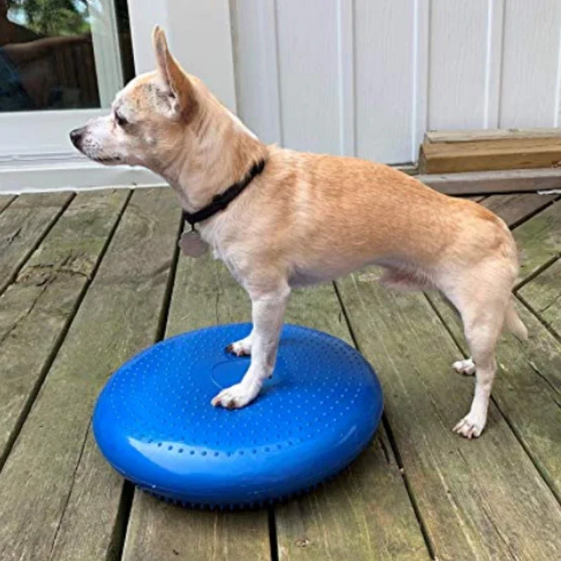 Dogs Training Aids Balance Flying Saucer Fitness Sports Muscle Atrophy Dog Agility Toy Pet 1005007643028764