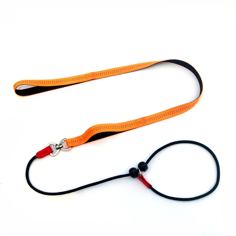 Training Dog Choking Rope Leash 2 in 1 Lead Collar 150cm P-Shaped Chain Slip Lead Control Leash 1005007643665331