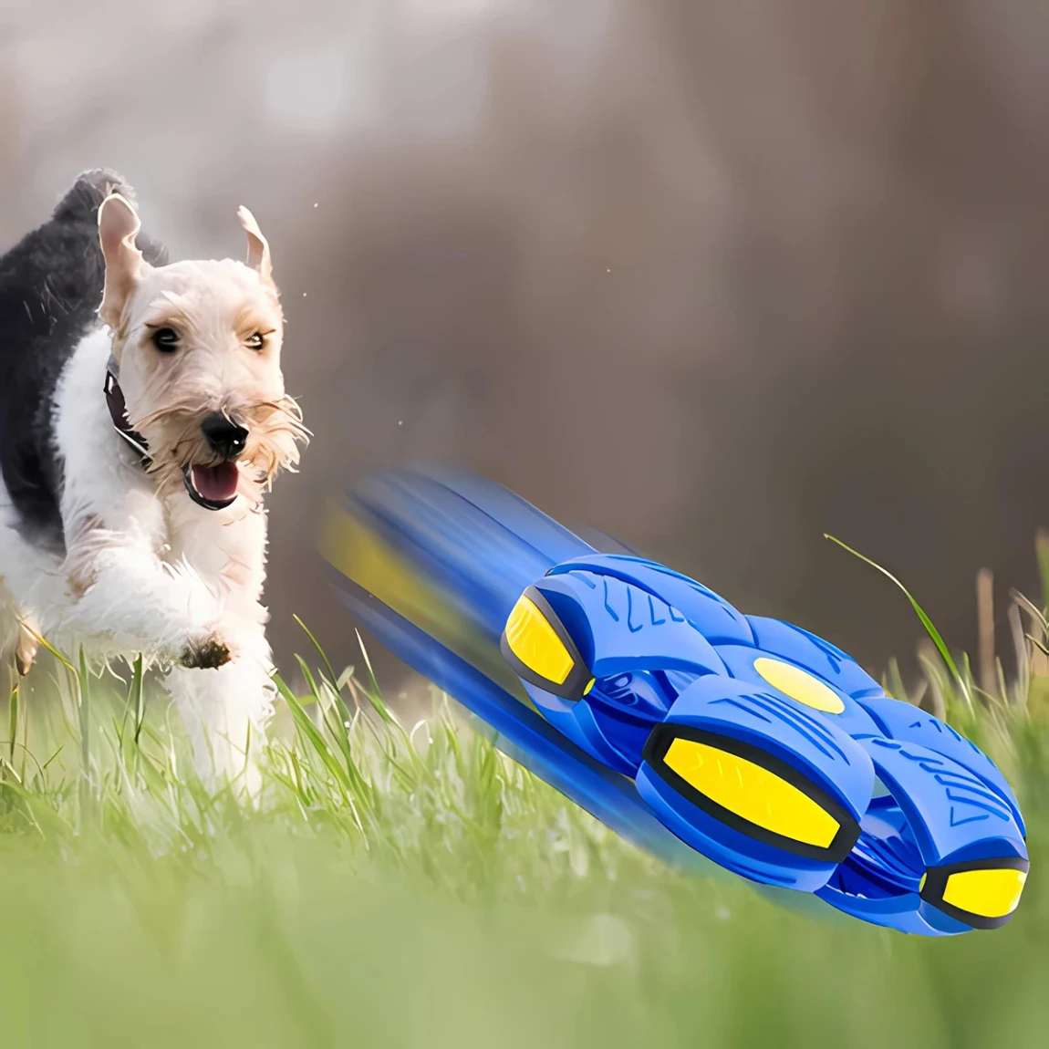 Pet Flying Saucer Ball Magic Outdoor Throw Disc for Kids and Dog Interactive Training Sports Game 1005007675948263