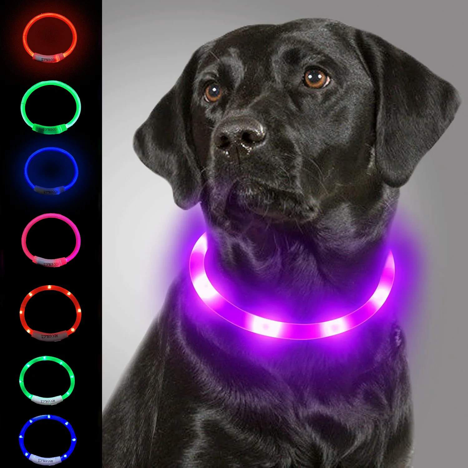 Dog Light Up Collar LED Collar Light Up Cat Collar USB Rechargeable Collar Christmas Decoration Pet 1005007698180140