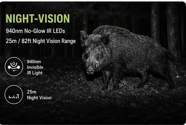 View 4