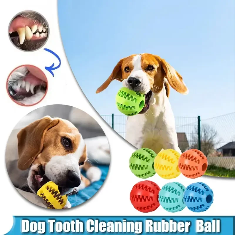 Dog Toy Ball Interactive Elasticity Puppy Chew Toy Nontoxic Bite Resistant Dog Pet Food Treat 1005007724994603