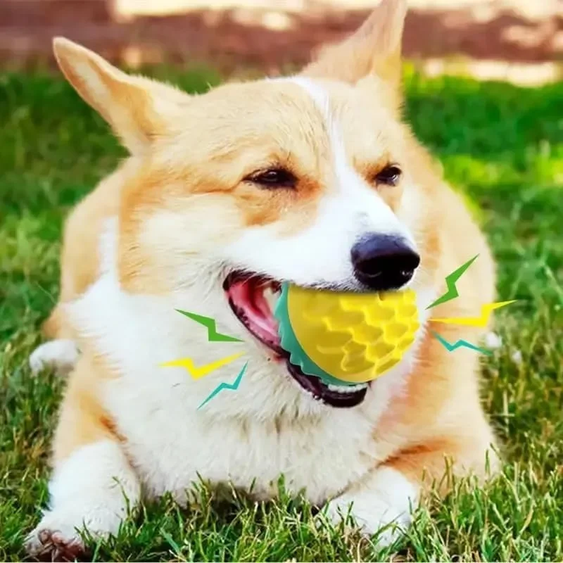 Pet Chew Toy Grinding Squeaky Teeth Cleaning Ball Cat Puppy Sound Toy Dog Interactive Toy Great 1005007766625887