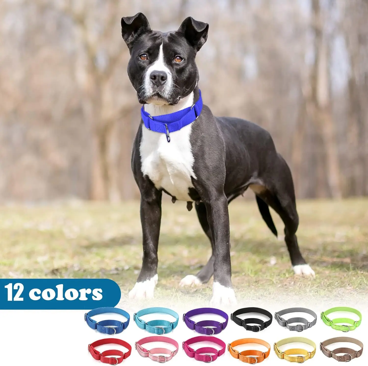 Martingale Dog Collar Heavy-Duty Training Collar Durable Nylon Service for Small Large 1005007802074379