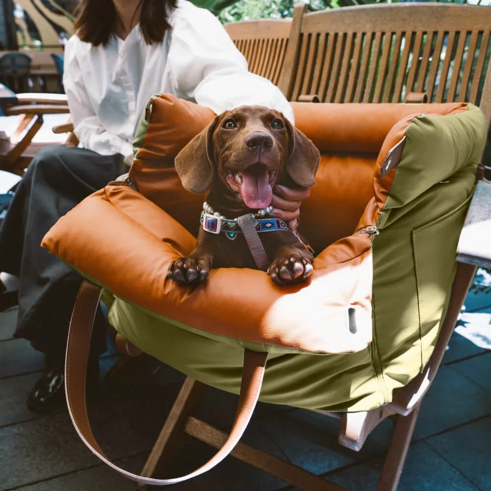 Winter Pet Outing Lathe Luxury Faux Leather Dog Car Seat/Cat Car Bed/Booster Bed Pet Booster Car 1005007822836558