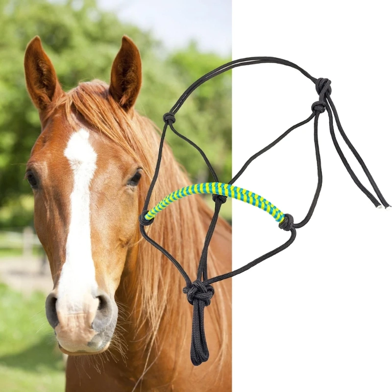 Horse Halter Knot Training Headstall Webbing Rope Wear Resistant Rope Halter Adjustable Horse 1005007893175557
