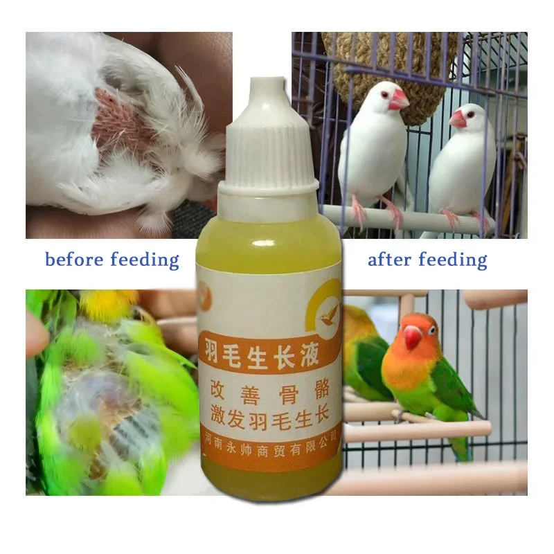 Bird with Feather Auxin, Bird Moulting, Pecking, Broken Feather, Bird Without Feathers, Jade Bird 1005007895741514