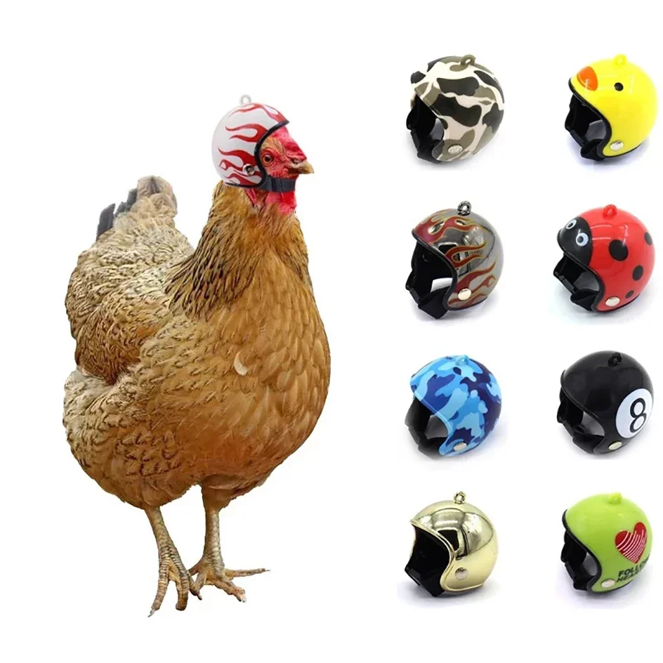 Parrot Helmet Pigeon Hat Bird Pet Protective Gear Sunscreen Rain Helmet Toy Bird Small Pet Supplies 1005007929306867