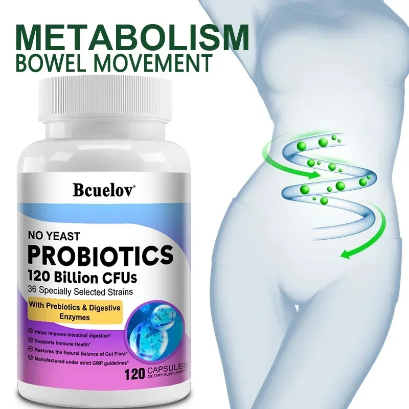 Digestive Health Probiotics 120 Billion CFU Prebiotics & Digestive Enzymes Adult Probiotic 1005007982186719