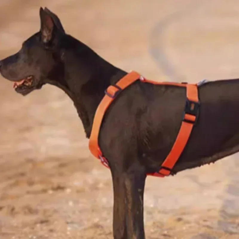 Large Dog Harness XL Nylon Small Breed Medium Dog Vest Harness No Pull Anti Slip Dogs Harnesses 1005008060118474