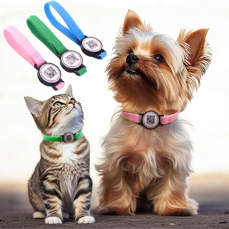 Cat Collar Personalized Newborn ID QR Code Identity Cat Tag Card Breakaway Small Dog Nylon 1005008086968643