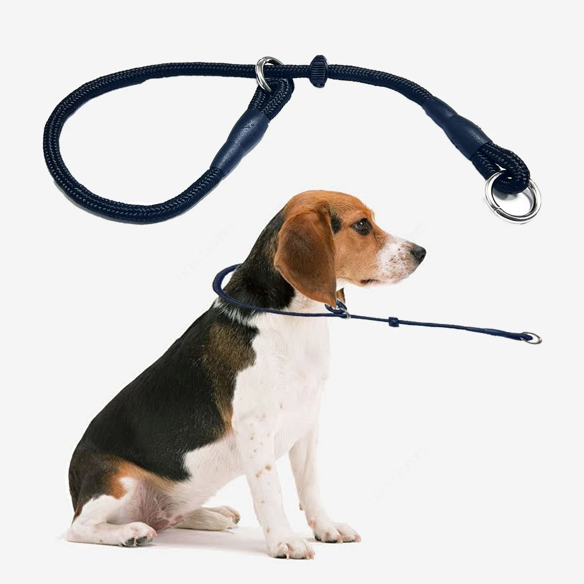 View 3