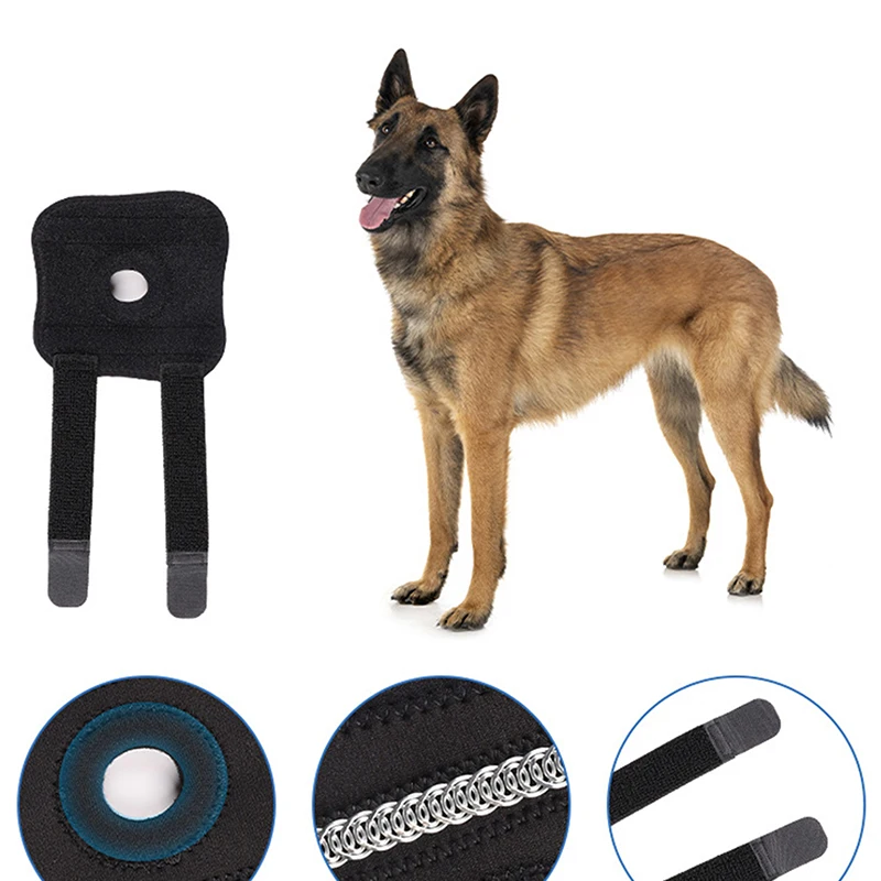 Dog Knee Pads Injury Recovery Fixed Support Brace Pet Protector Pain Relief Feet Cover Leg Joint 1005008094753762