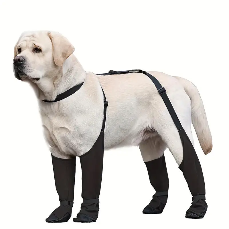 Pet Dog Shoes Waterproof Adjustable Dog Boots Rain Day Pet Breathbale Shoes for Outdoor Walking 1005008112030664