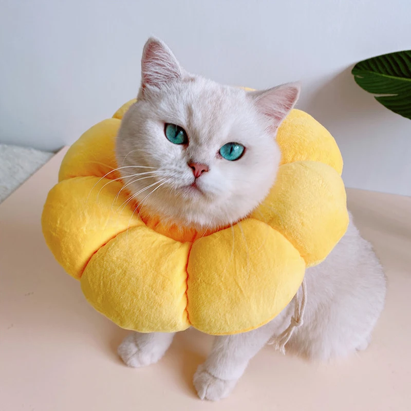 Cat Cone Collar Soft, Cat Recovery Collar for Wound Healing 1005008117533049