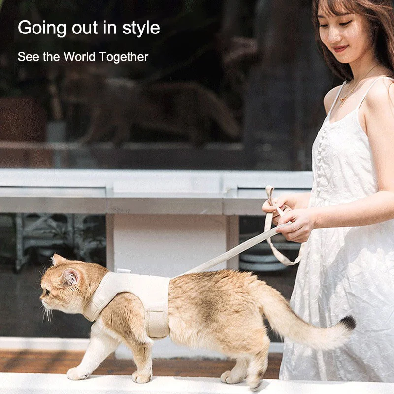 View 5