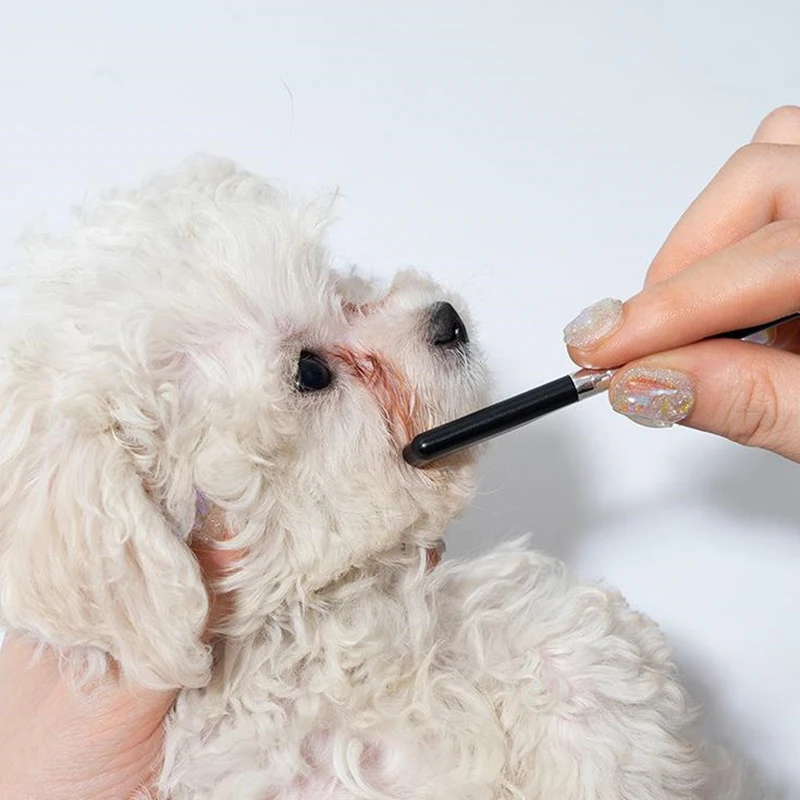 Pet Facial Cleaning Comb Set Remove Tear Stain Eye Droppings Cat Claw Comb Dog Hair Trimmer 1005008154719184
