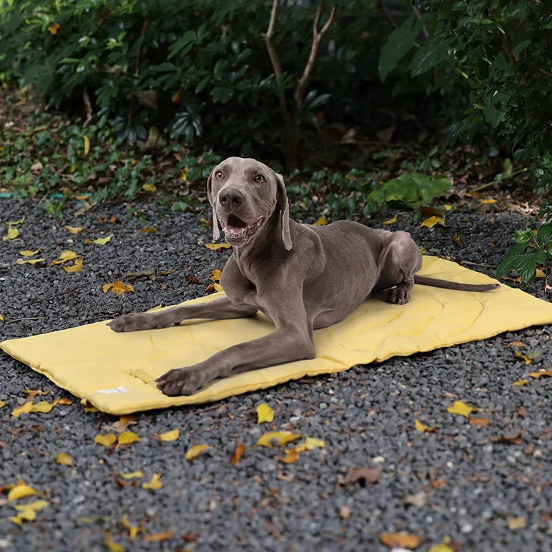 Portable and Foldable Dog Blanket Waterproof Easy to Clean Dog Cage Pad Floor Mat Sleeping Bed (1PC) 1005008158370993