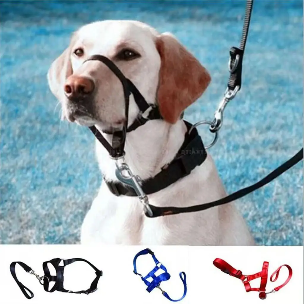 Dog Muzzle Mouth Traction Rope Pet Training Cover Nose Ring Anti-Barking Anti-Biting Control 1005008158718730
