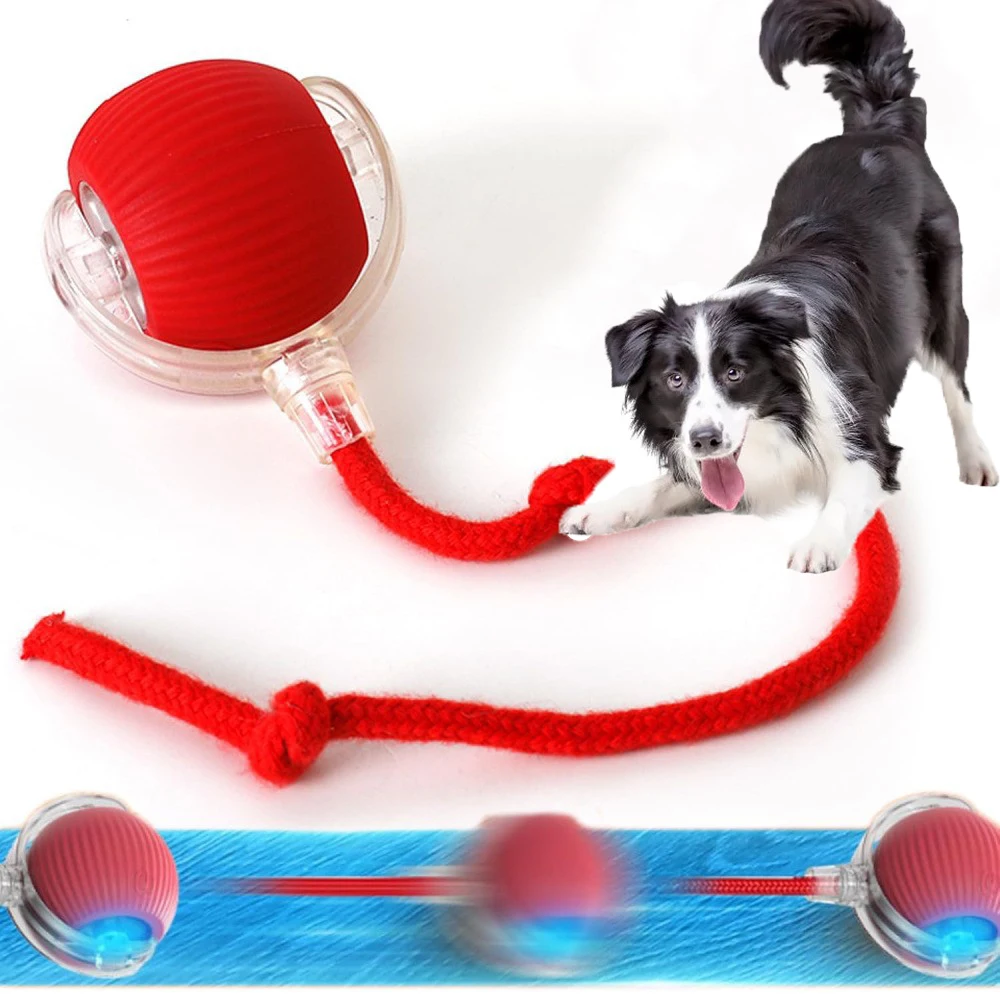 Hot Electric Dog Ball Toys Automatic Rolling Ball Rechargeable Smart Pet Interactive Plush Toy Dog 1005008165609162