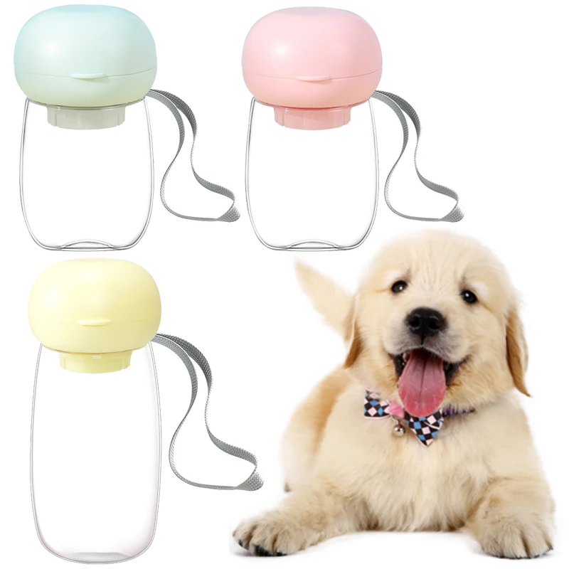 Pets Feeder Bowl Water Dispenser 2 in 1 Portable Food Collapsible Design Portable Cat Outdoor 1005008179594636