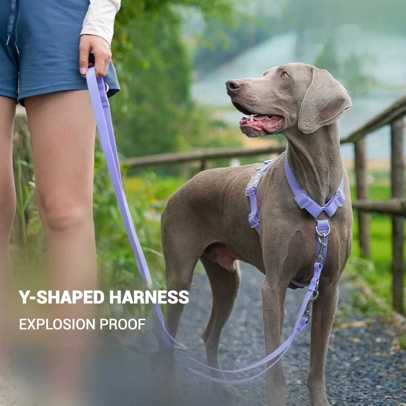 Waterproof Series Dog Collar Leash Harness Adjustable Length Durable Small Dogs Medium Large Shiba 1005008188799301
