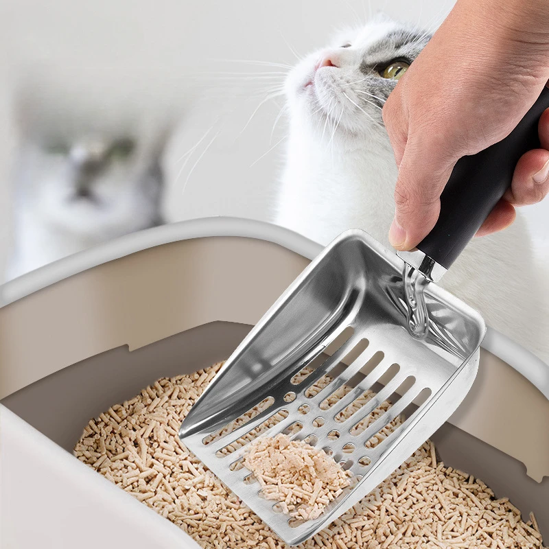 View 2