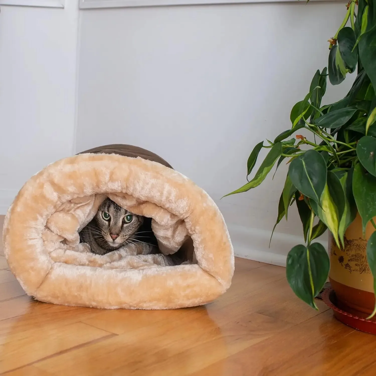 Cats Bed Basket Accessory House Kitten Houses and Habitats Accessories All Pet Products Dog Mat 1005008239549974