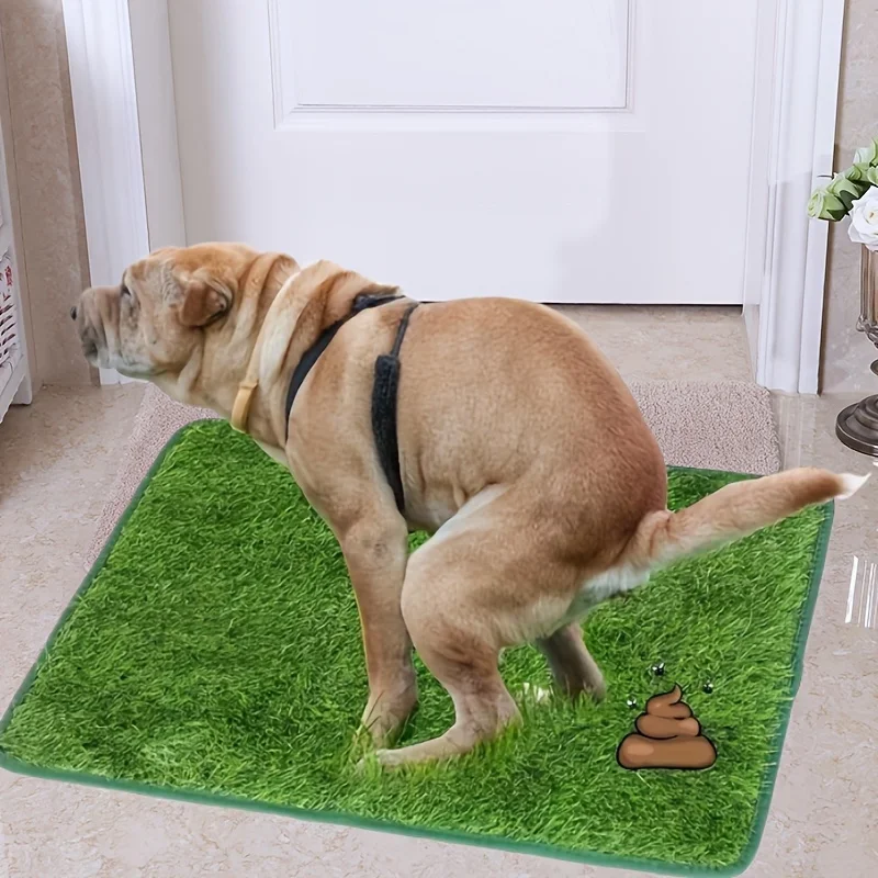 Ultimate Washable Dog Grass Mat, Reusable, Odor-Control Artificial Lawn for Pet Training 1005008256905783