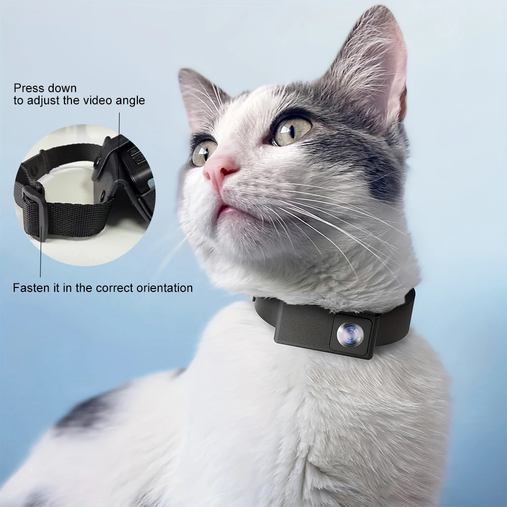 BORME HD 1080P Pet Cameras Dog Cat Pet Camera Wireless Collar Camera No Wifi Needed Video Records 1005008267867556
