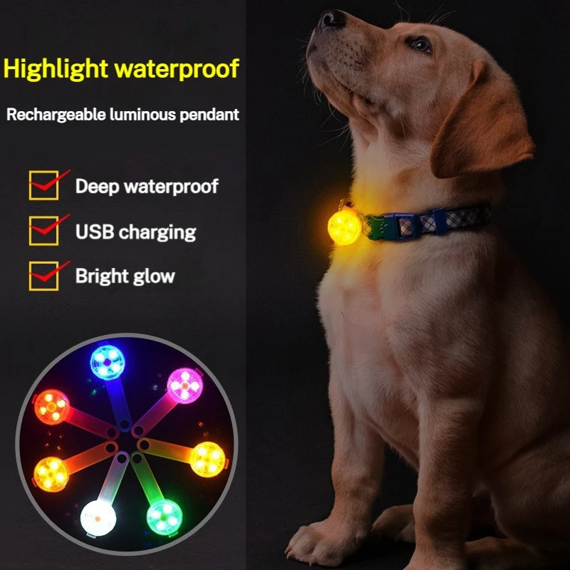 Light LED Dog Collar Pet Cat Night Safety Pendant Flashing Puppy Flashlight Rechargeable Flashing 1005008284715377