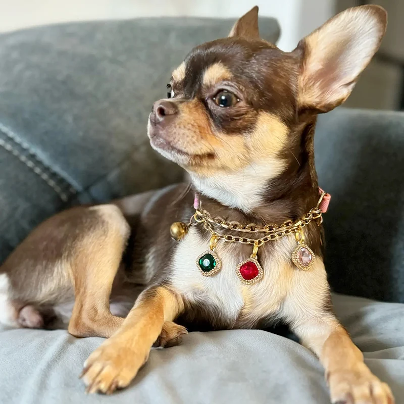Pet Collar for Small Dogs Cats Adjustable Diamond Pendant Tassel Dog Collar Puppy Necklace 1005008286142647