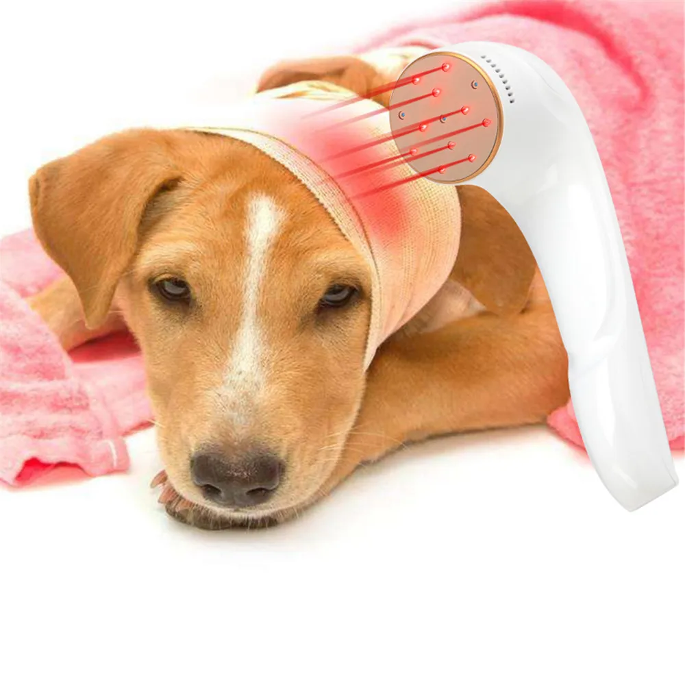 Medical Laser Photo-Therapy Device Laser Physical Therapy Laser Pain Relief for Dog Cat Pet Skin 1005008318825509