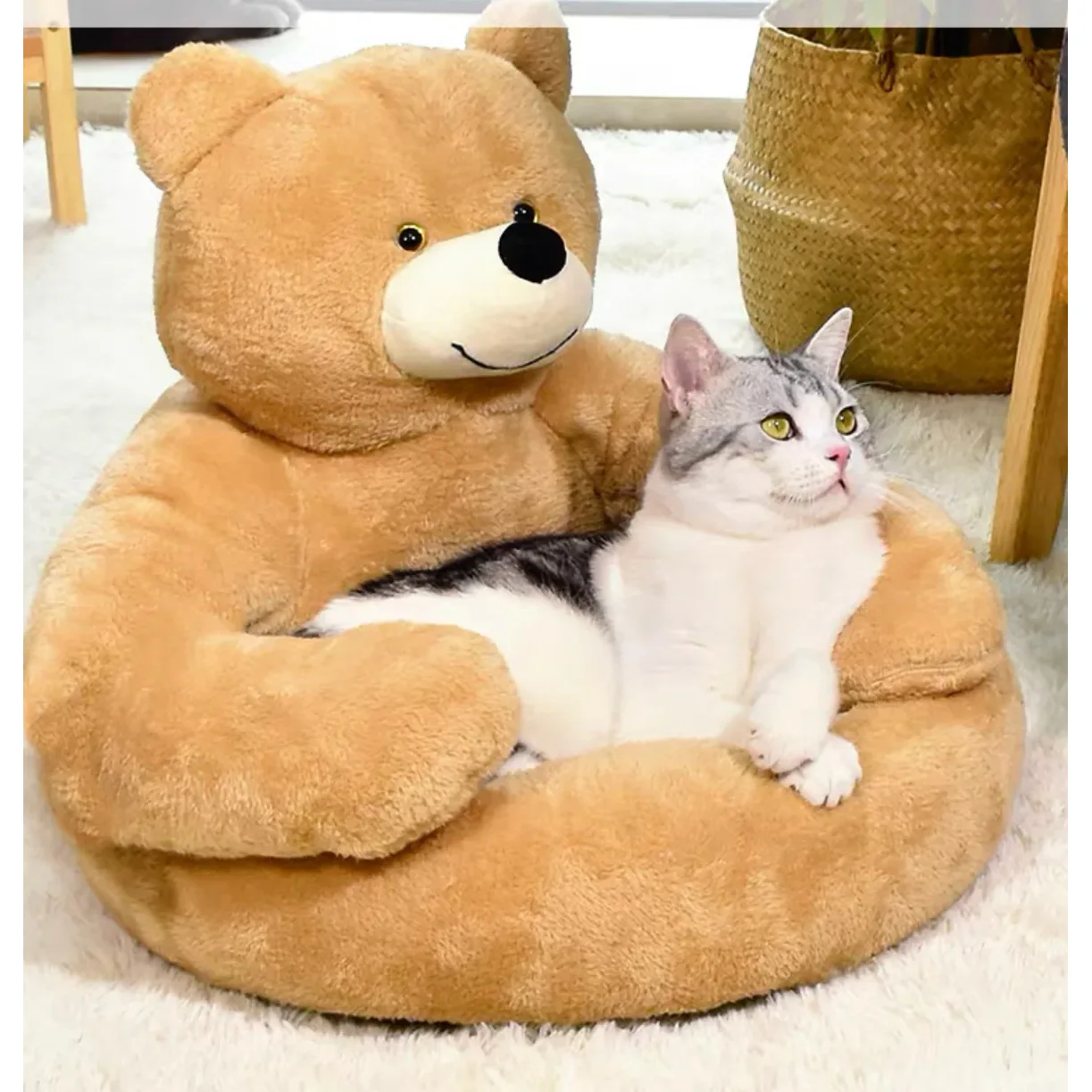 Cute Bear Sofa 1005008331902928