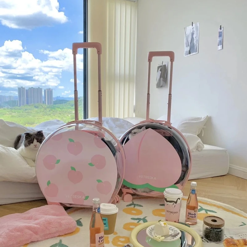 Pet Outing Trolley Case Portable Clear Cat Bag Teddy Bichon Travel Backpack 1005008345299587