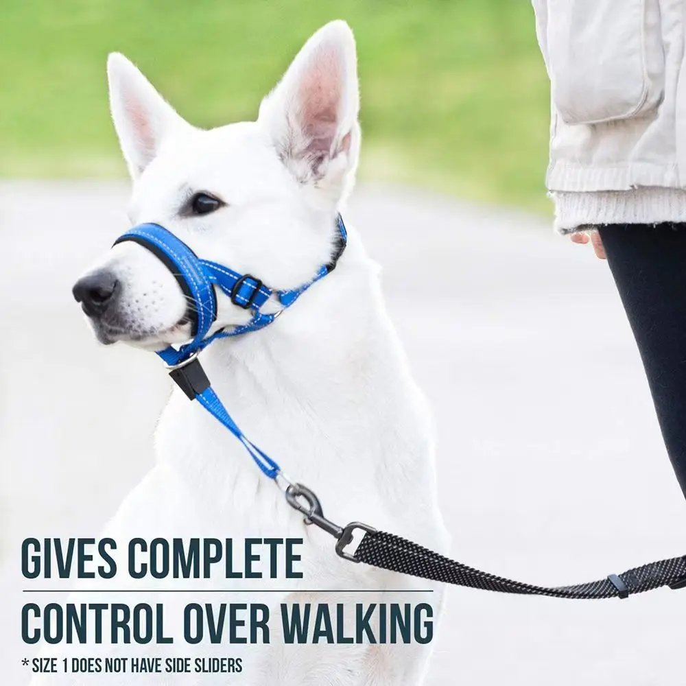 Dog Muzzle Adjustable Medium Large Dogs Pet Leash Breathable Anti-Barking Anti-Bite Outing Golden 1005008357565546