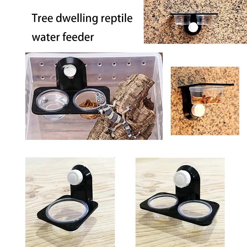 Reptile Tank Accessories Insect Spider Ants Nest Snake Gecko Food Water Feeding Bowl Terrarium 1005008415558419
