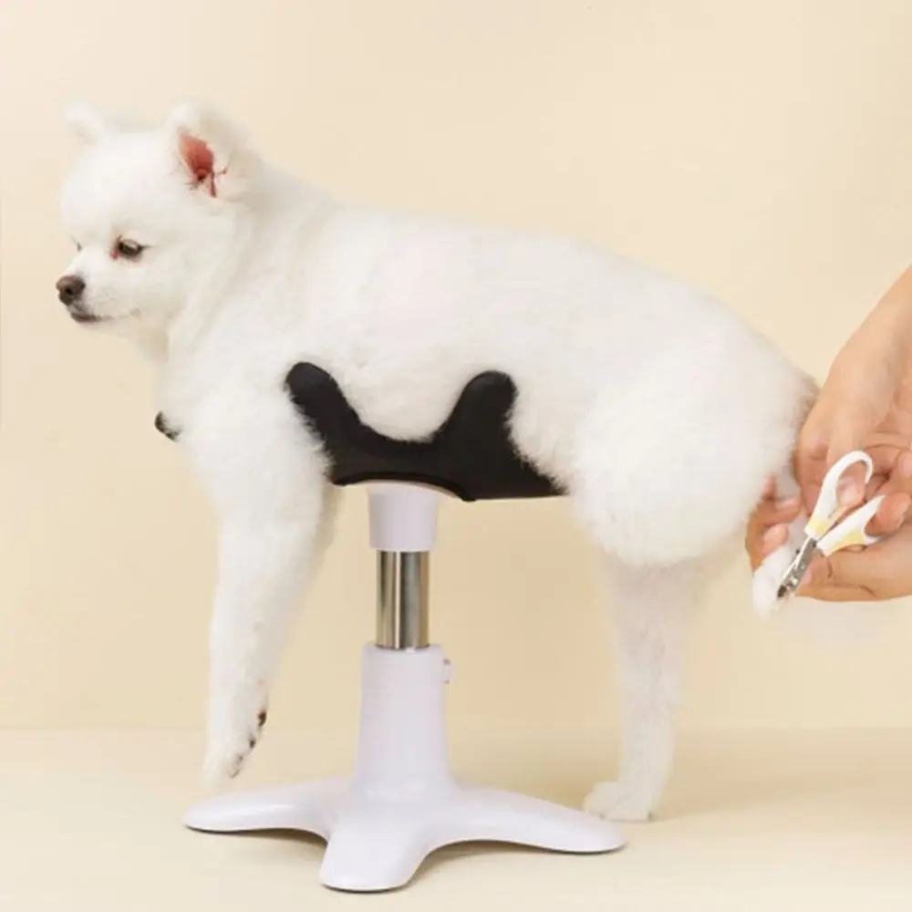 Dog Grooming Beauty Fixed Table Base Frame Adjustable Metal Pet Bath Fixer Universal Removable Pest 1005008417244683