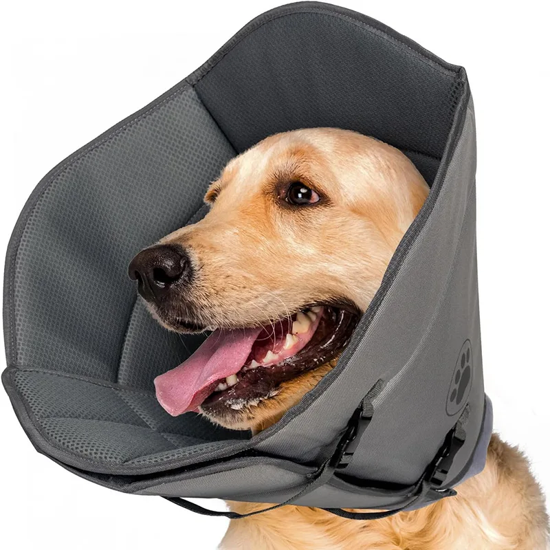 Adjustable Shame Collar, Anti-Biting Dog Collar, Anti-Licking Artifact 1005008481043163