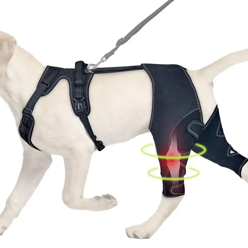 Orthopedic Brace for Dogs Pet Joint Hip Support Adjustable Leg Keeping Animal Joints Warm and Stable 1005008484408520